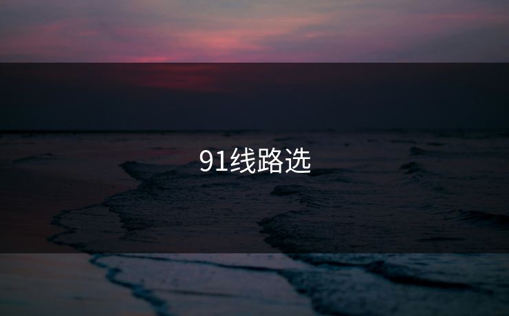 91线路选